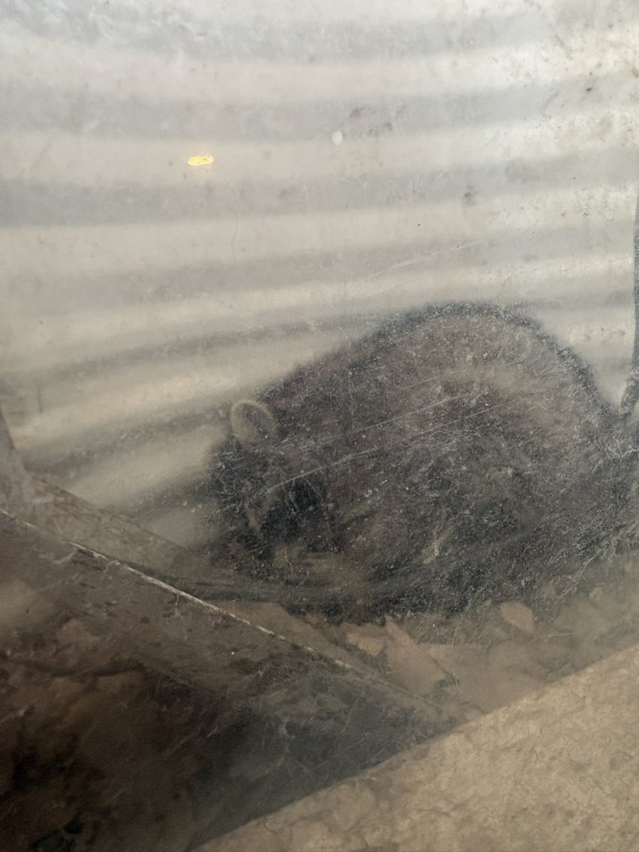 jenn melon tweet media