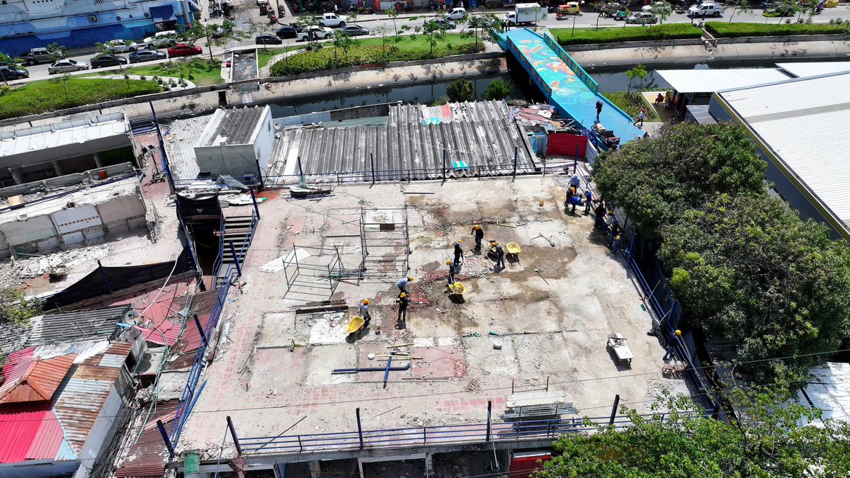 Ana Maria Aljure tweet media