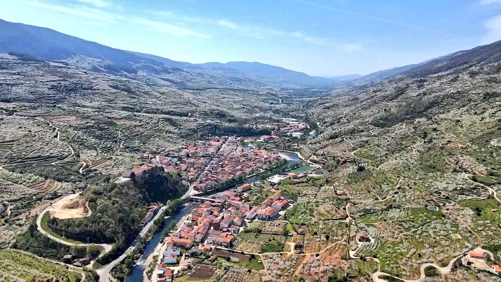 Nava del Concejo tweet media