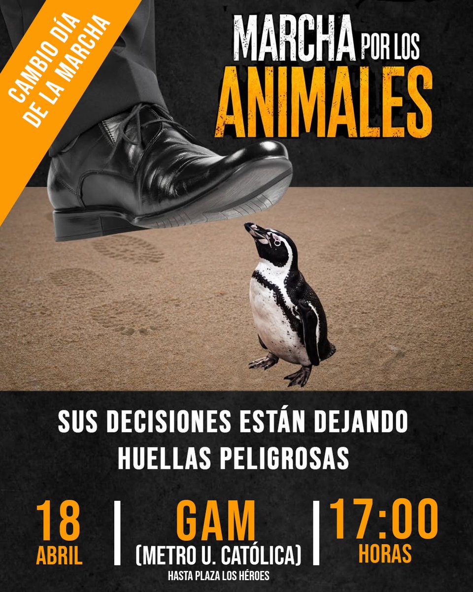 ChileUnidos's tweet photo. EL GOBIERNO DE EMERGENCIA TIENE COMO PRORIEDAD  LA TORTURA Y EL MALTRATO ANIMAL. NOS VEMOS EN LA MARCHA 

 colonia dignidad #enacional #MesaCentralLongueira Orrego #rodeo #noalrodeo Kast Boric https://t.co/dwVOe86MSX