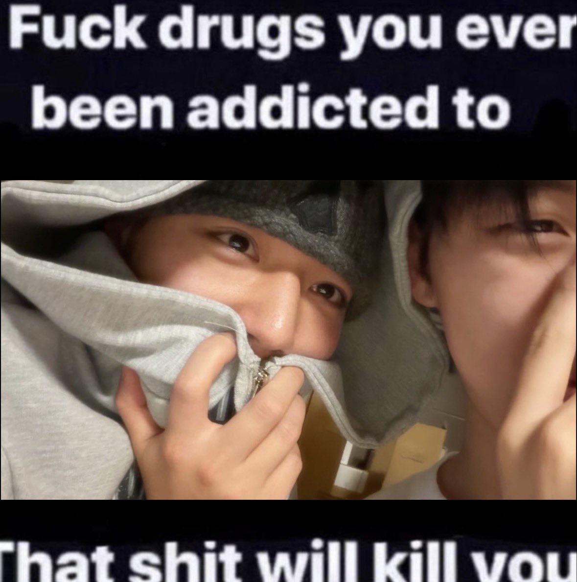 maia ୨ৎ tweet media