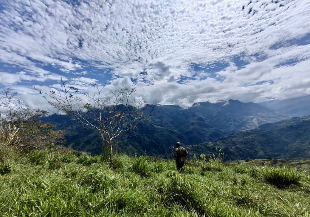 Séptima División del Ejército Nacional tweet media