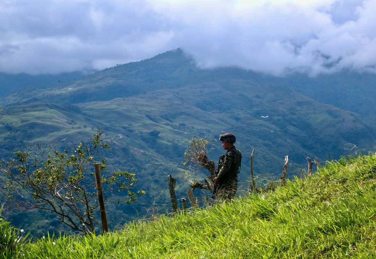 Séptima División del Ejército Nacional tweet media