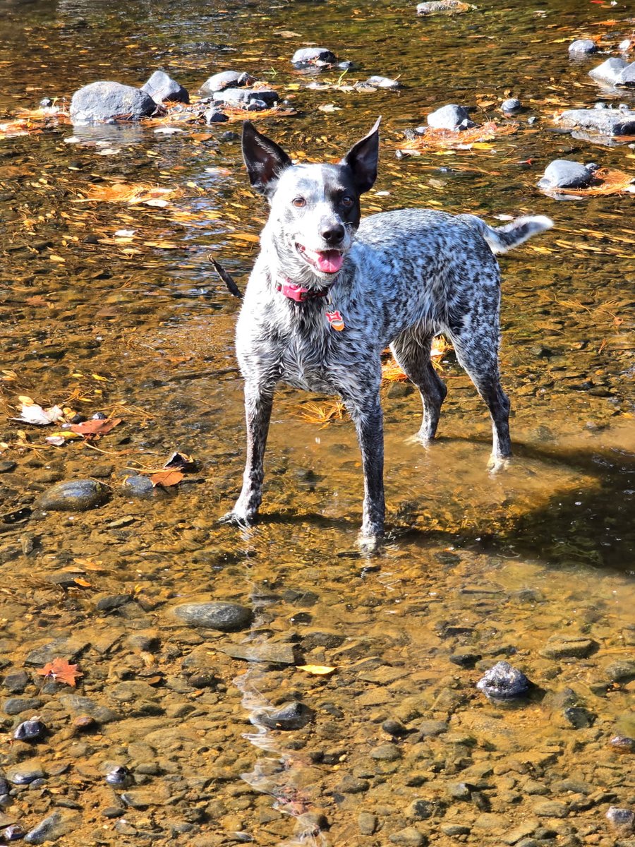 Mainely Greg tweet media