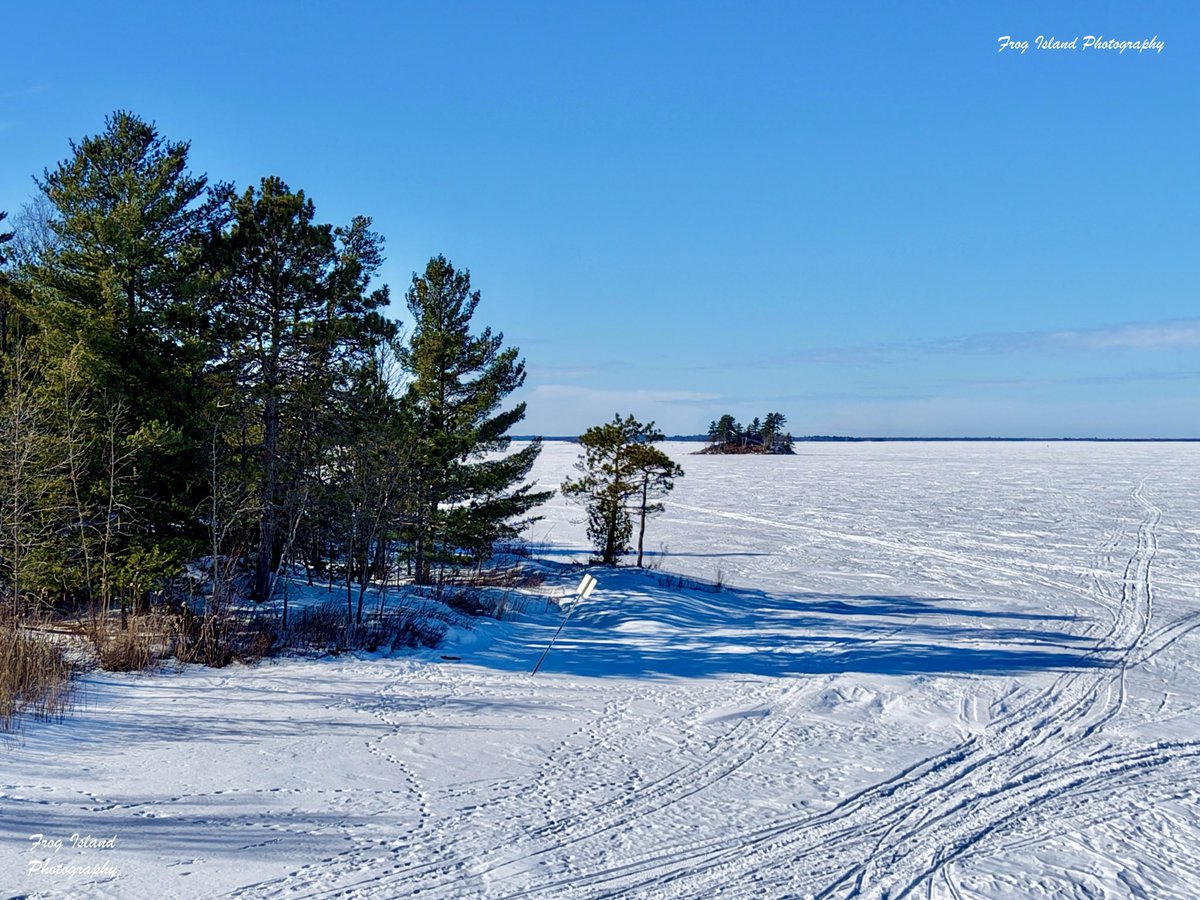Frog Island Photography tweet media