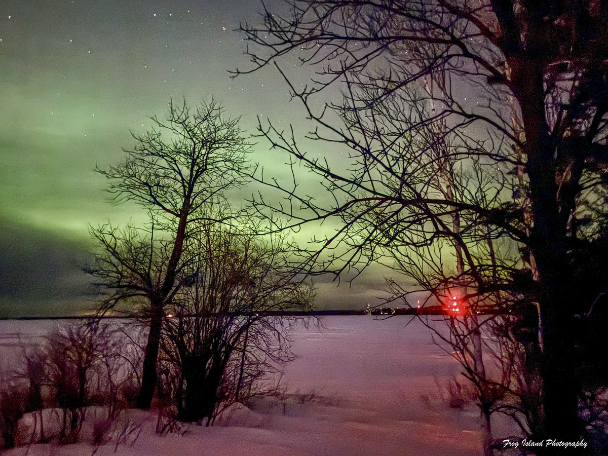 Frog Island Photography tweet media