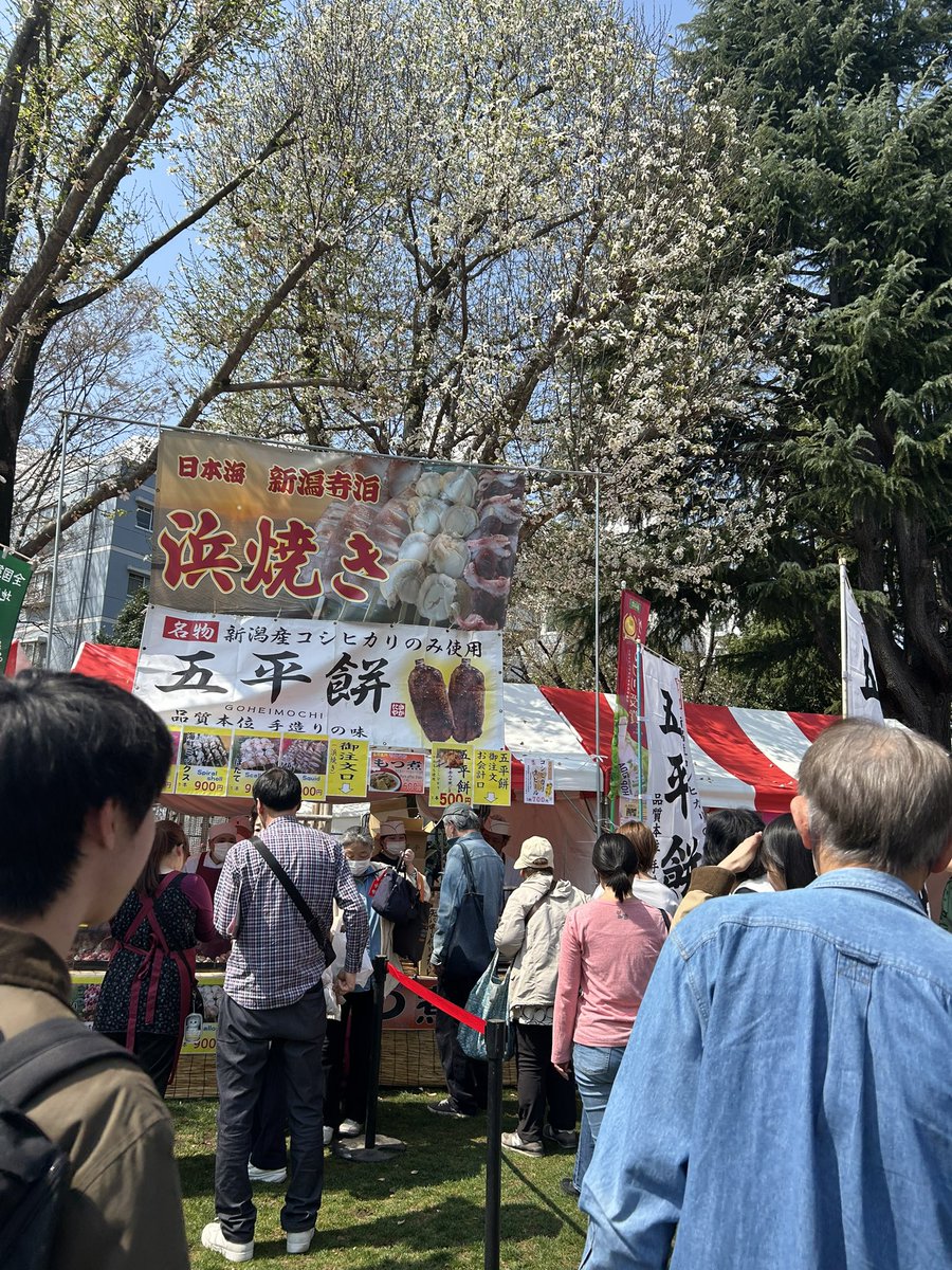 深田貴美子/東京維新幹事長/武蔵野市 tweet media