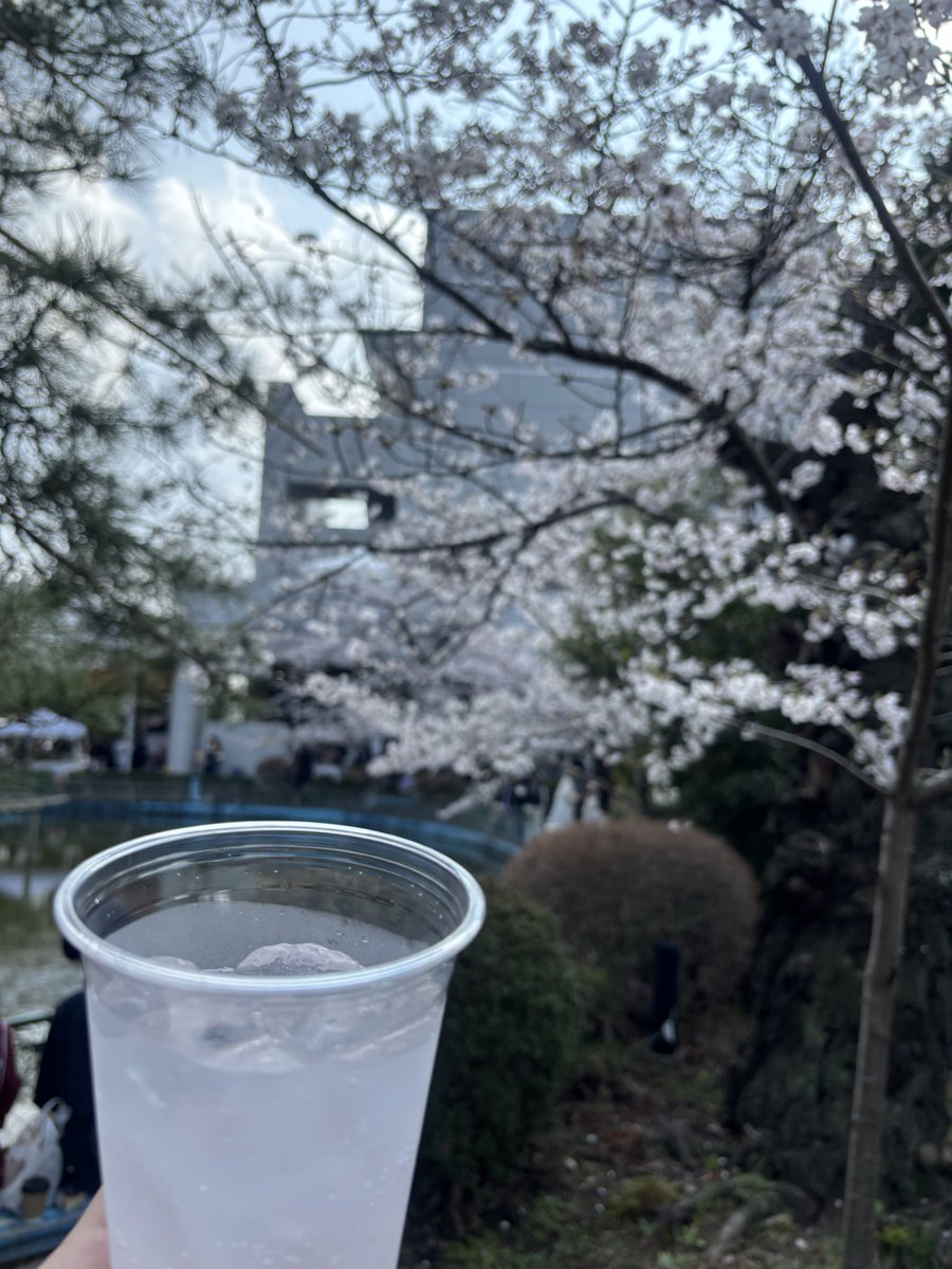 ミツエ tweet media