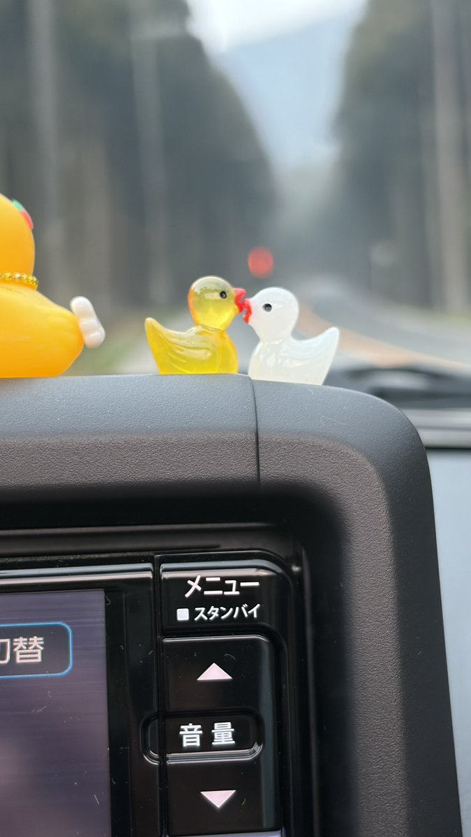 のぶ(+アヒル隊長) tweet media