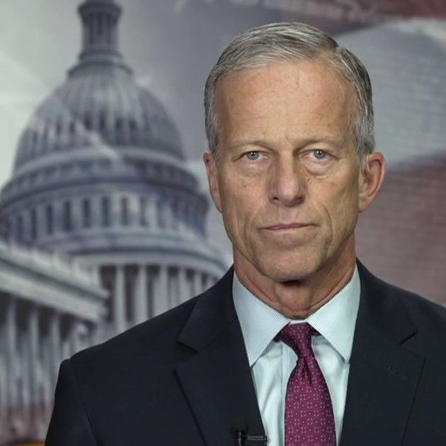 MAGA Kitty tweet media