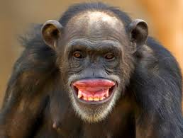 LooseScrew tweet media