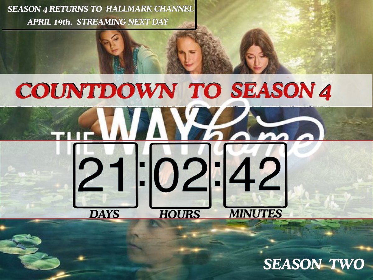 Tiffany C. tweet media