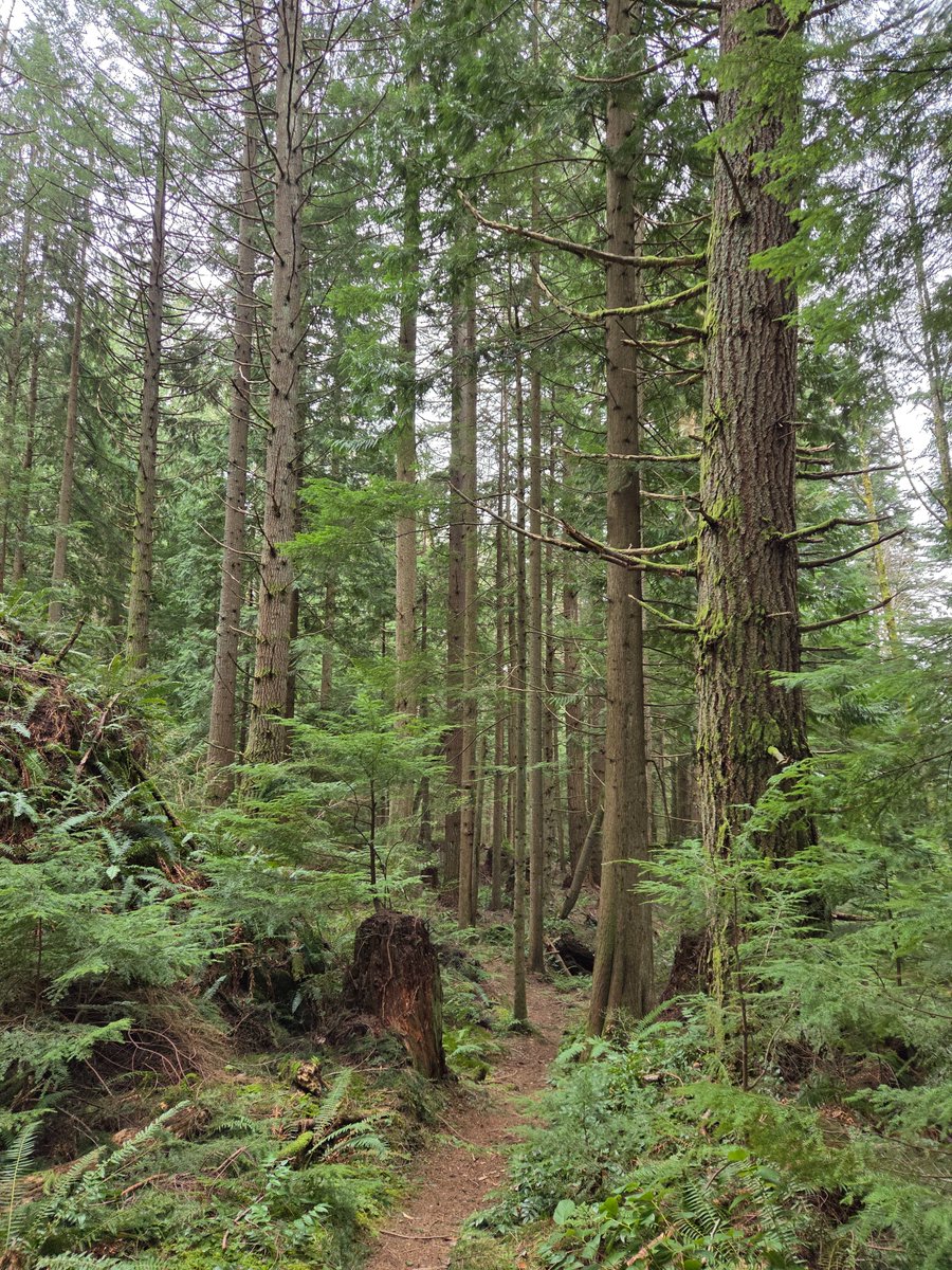 Jeremiah tweet media