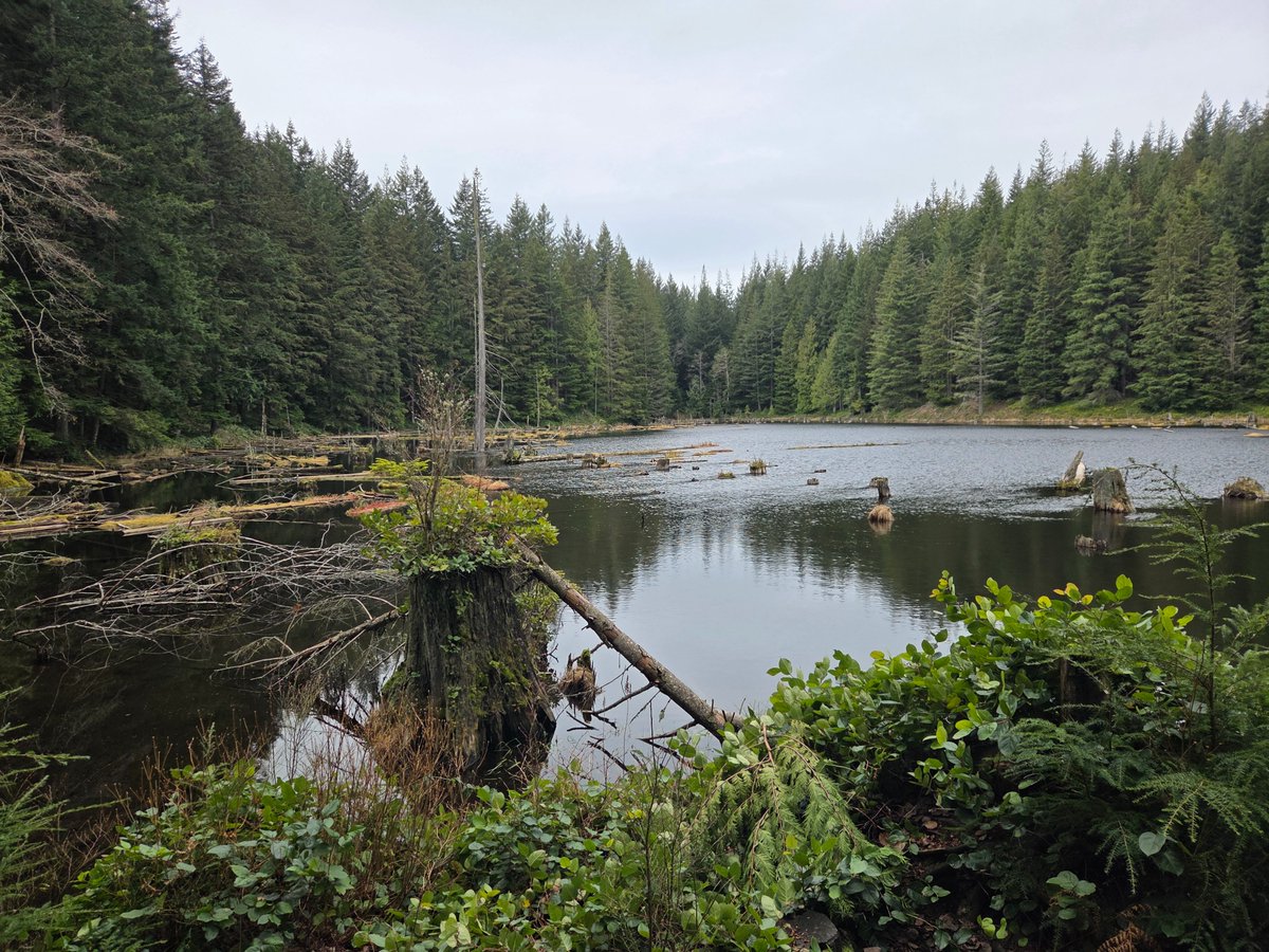 Jeremiah tweet media