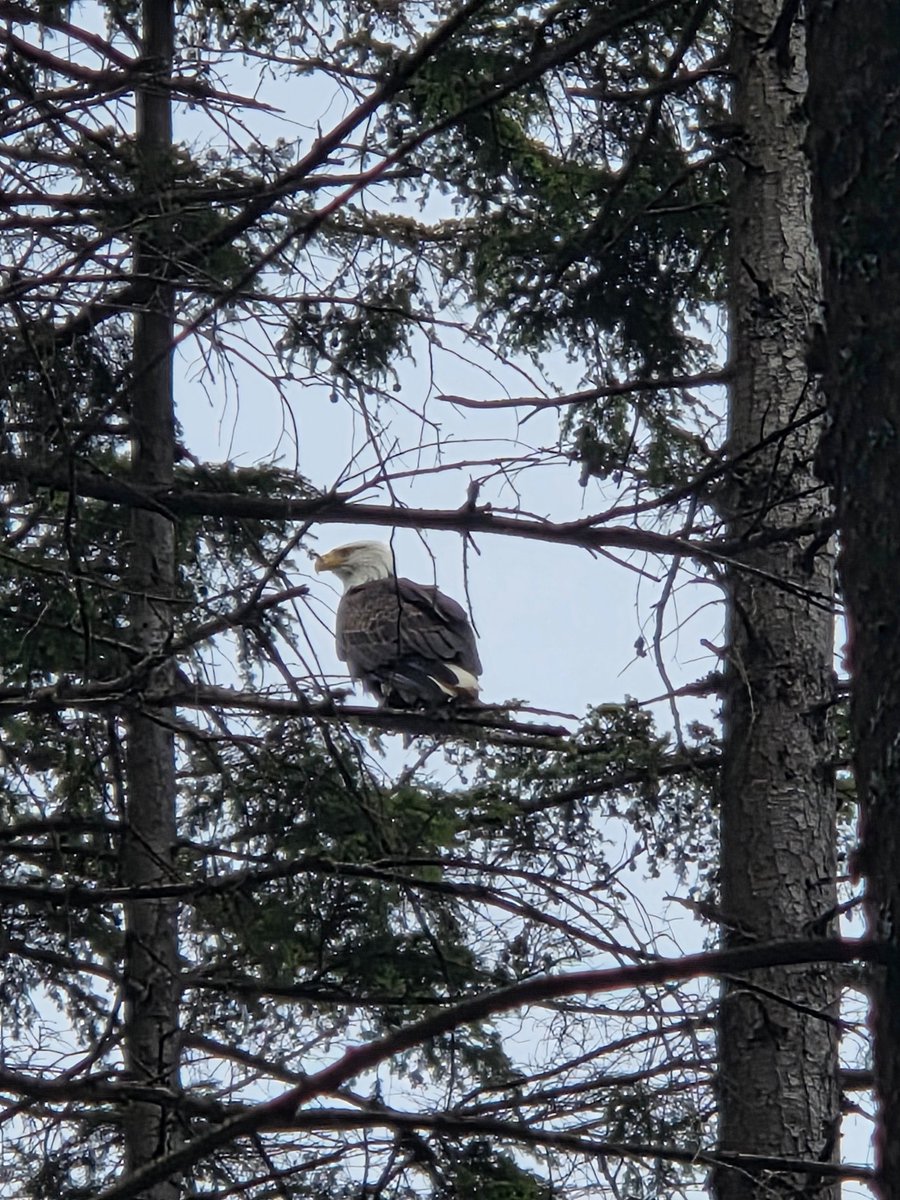 Jeremiah tweet media