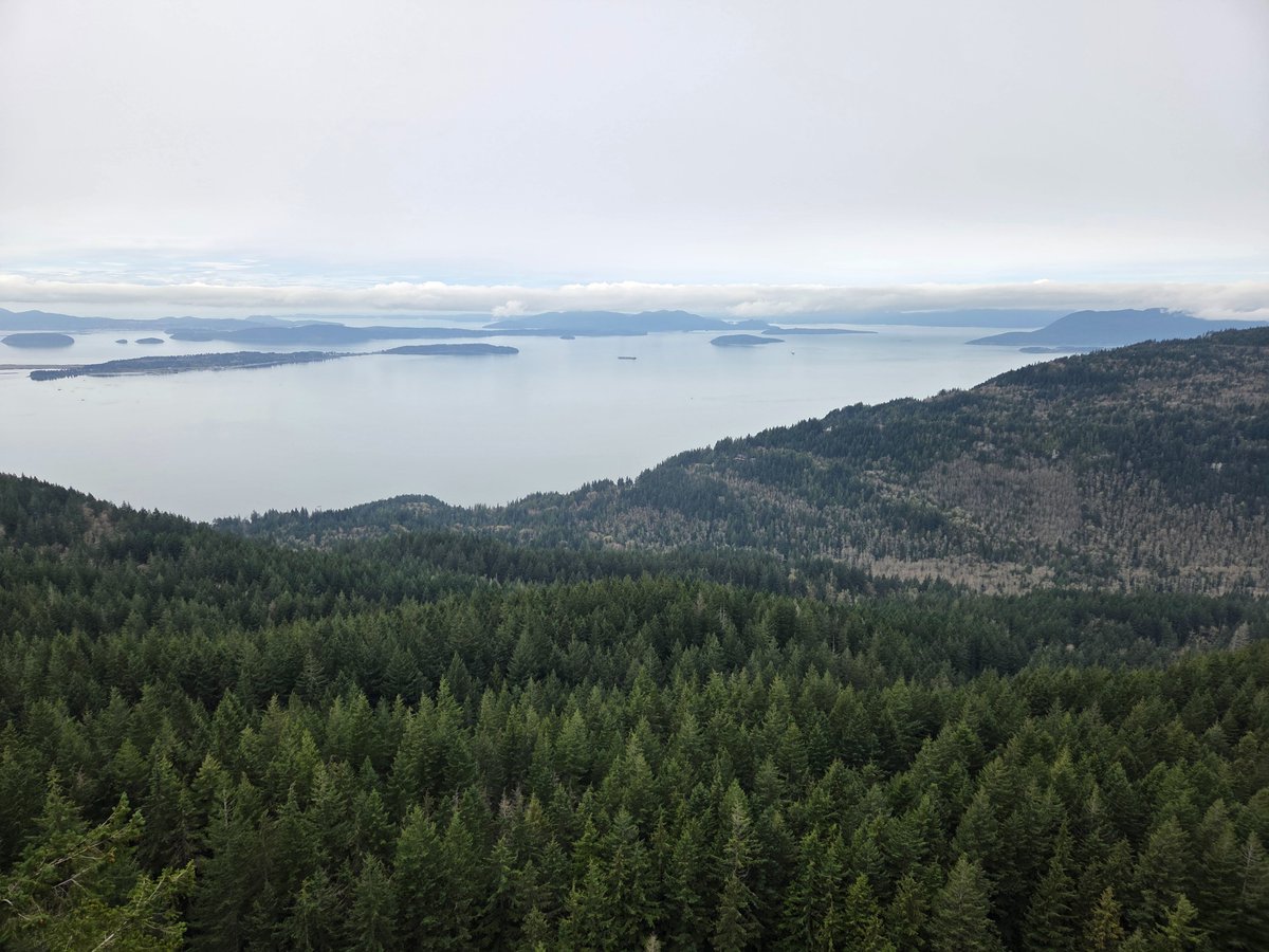 Jeremiah tweet media