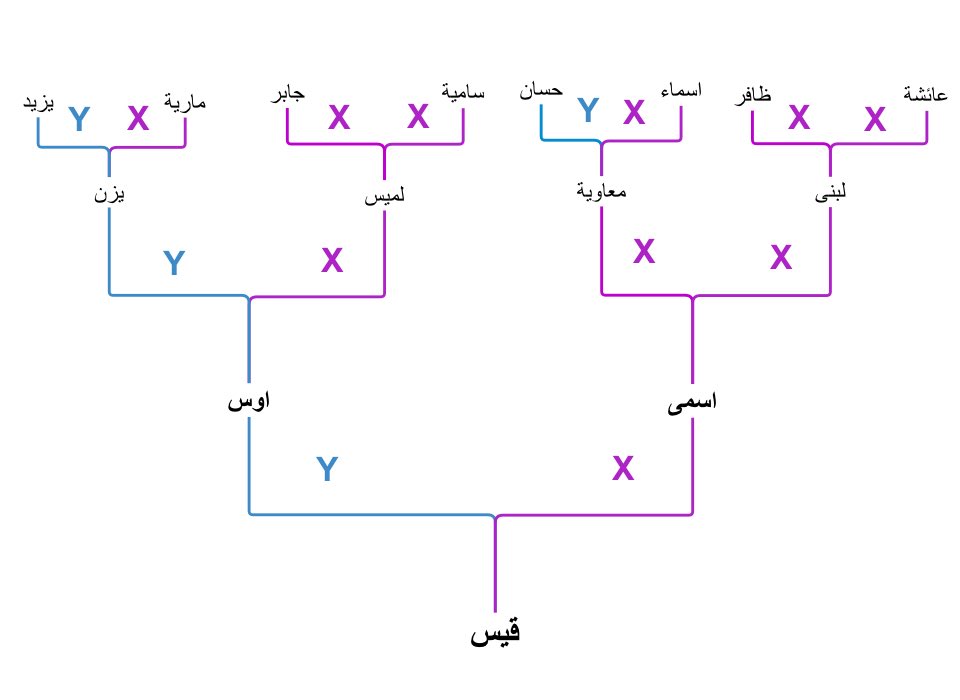 ابن مارية ⁹⁷⁰ tweet media