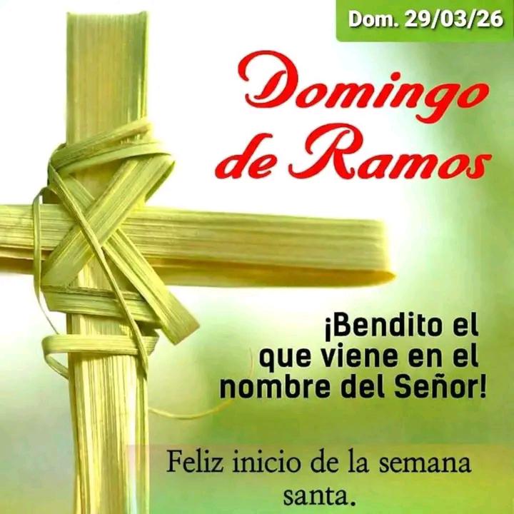 AuroraSolar tweet media