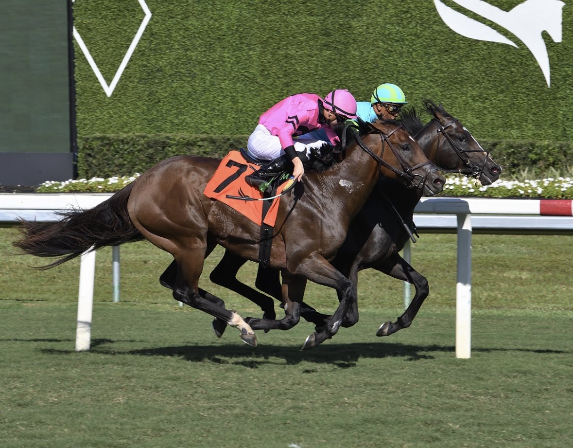 Beau Chapman tweet media