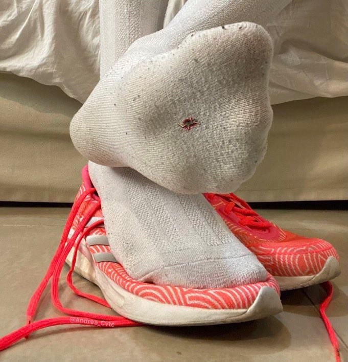 Goddess Andrea👣 tweet media