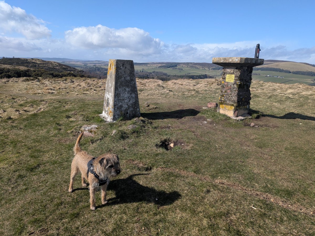 davierobbo's tweet photo. Braw day for the hill the day 💨💨💨💨 https://t.co/64ppRfseCA