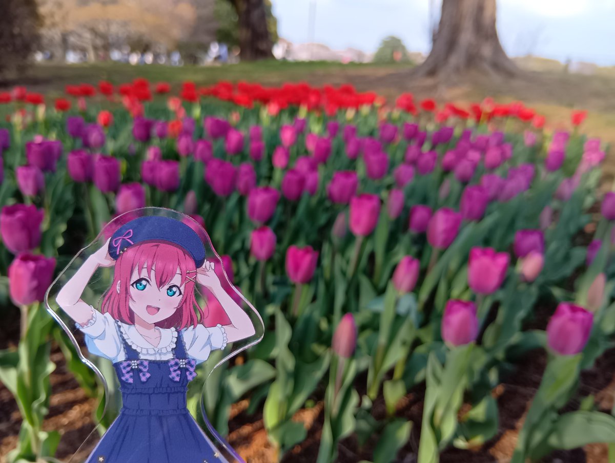 マサカズ@ルビィしか勝たん🍭 しばらく予定なし tweet media