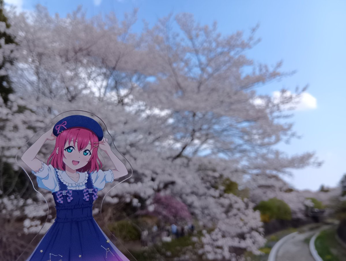 マサカズ@ルビィしか勝たん🍭 しばらく予定なし tweet media