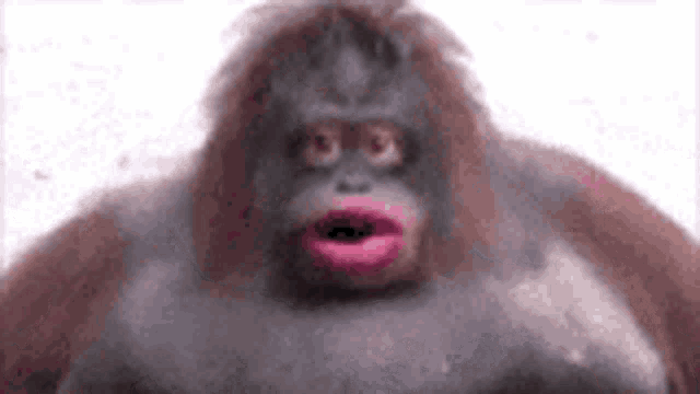 LooseScrew tweet media