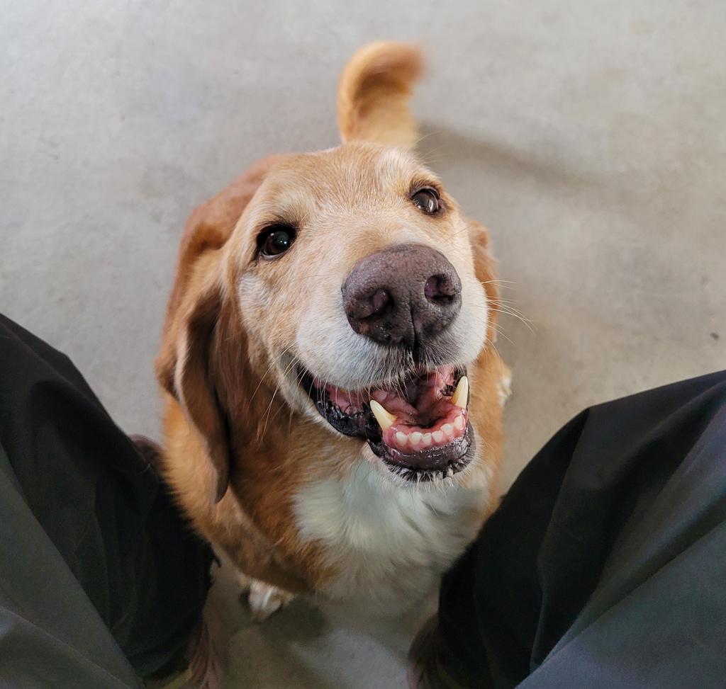 Tim Sprouls tweet media