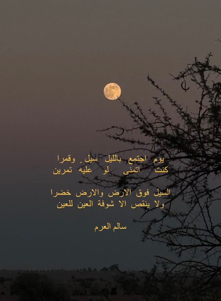 ✨ منبر شعراء حرب الرسمي ✨ tweet media