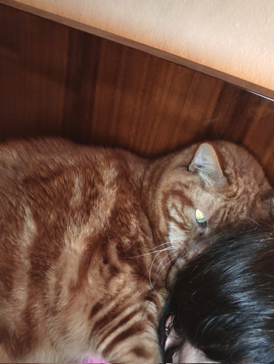 Ma Sticazzi tweet media