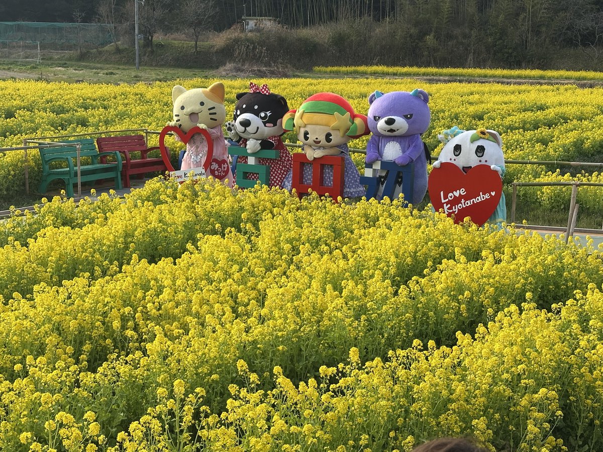 田原剛@isu1 tweet media