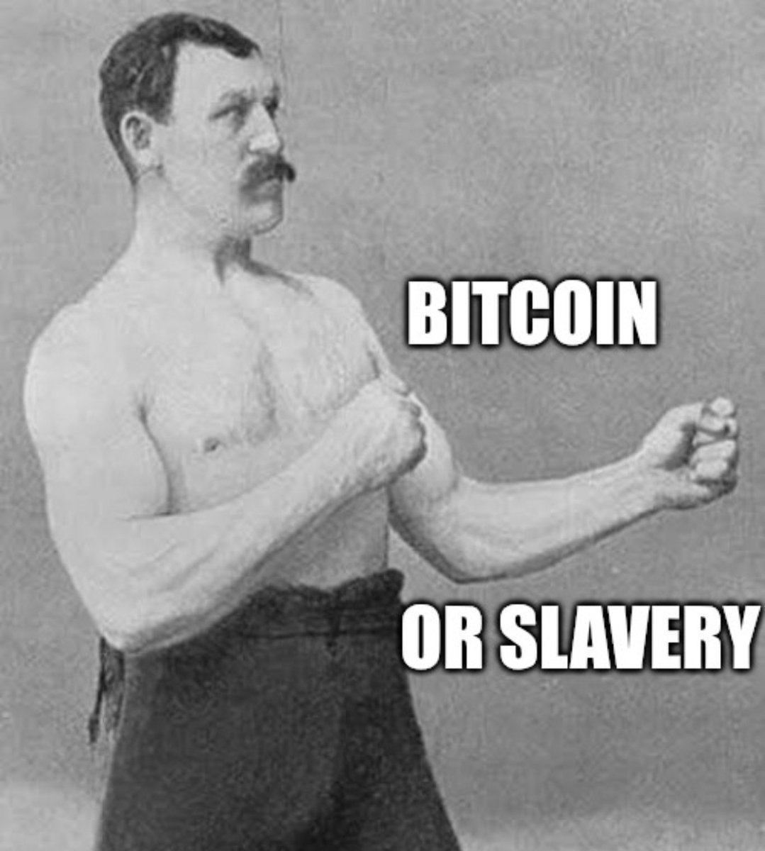 Bitguns⚡️ tweet media