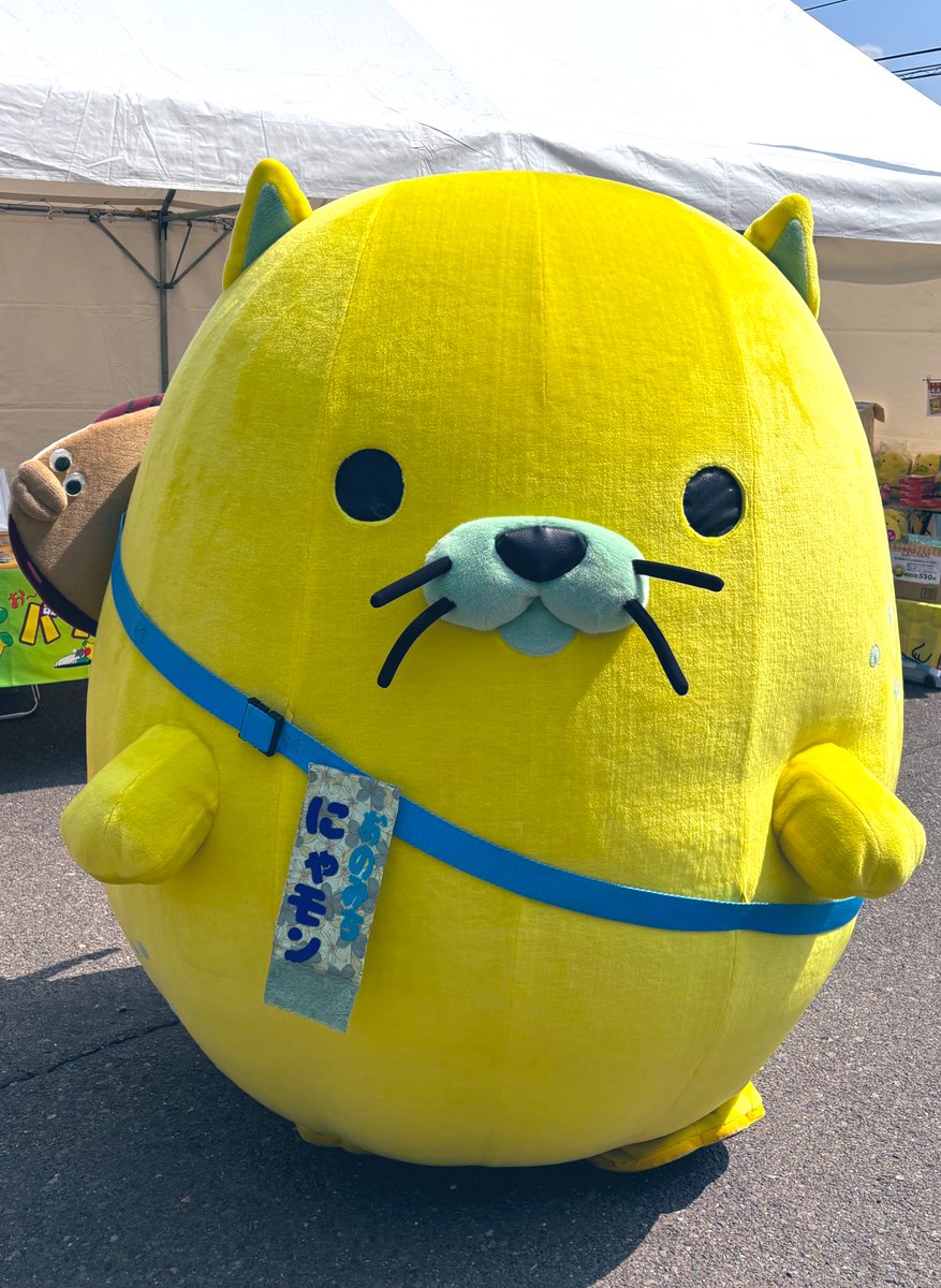 にゃモン 【公式】 tweet media