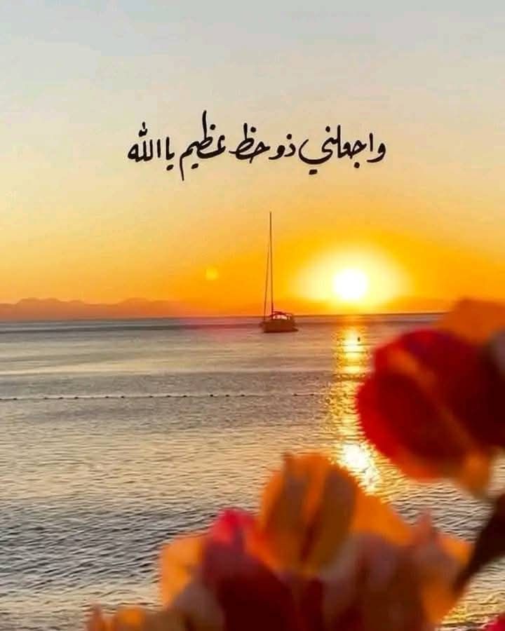 عيوش tweet media