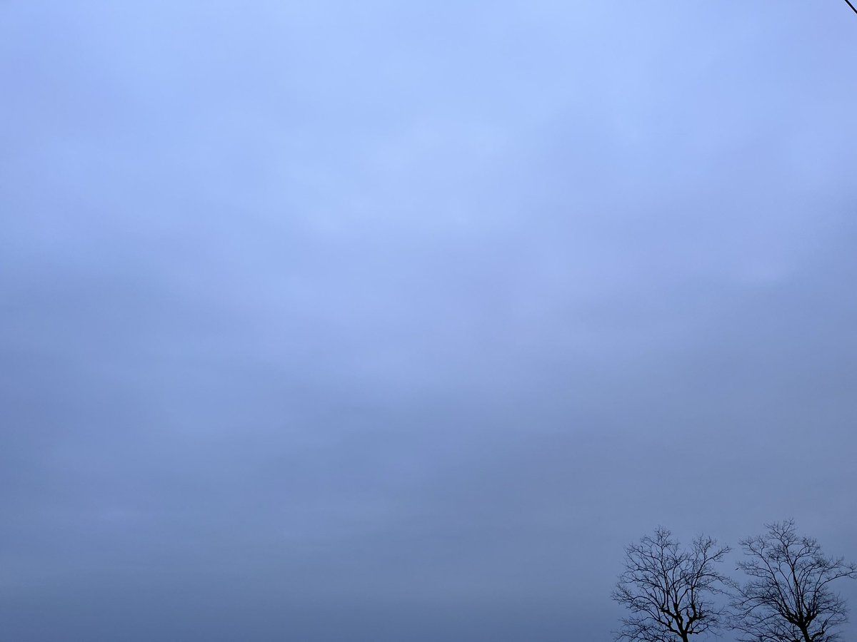 内藤聡 tweet media