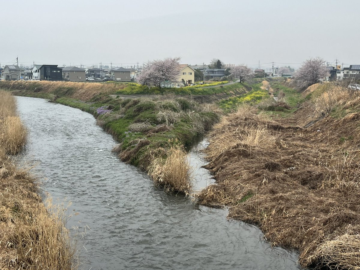 マッチボックス tweet media