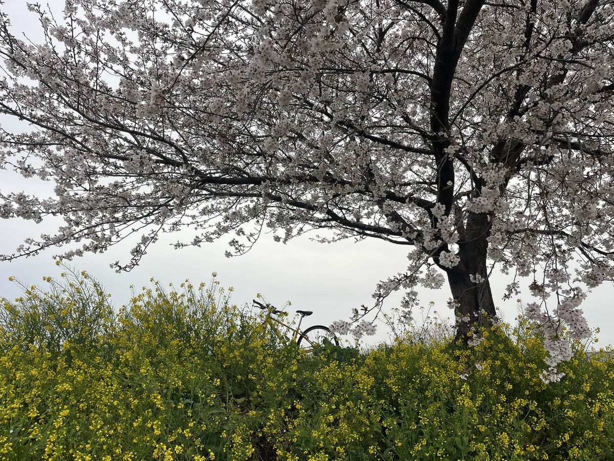 マッチボックス tweet media