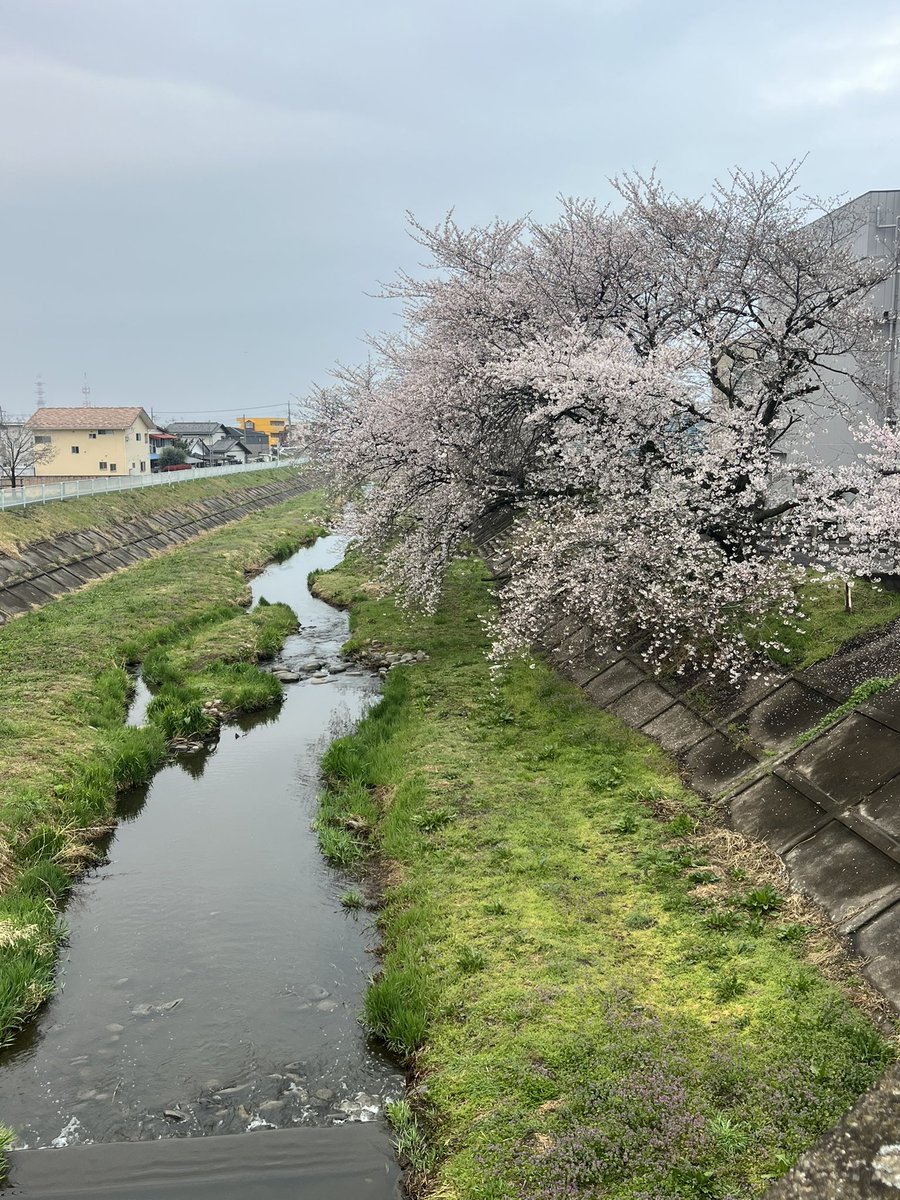 マッチボックス tweet media