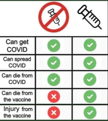 Sunshine Surfer tweet media