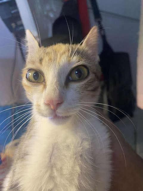 Vera ♡ tweet media