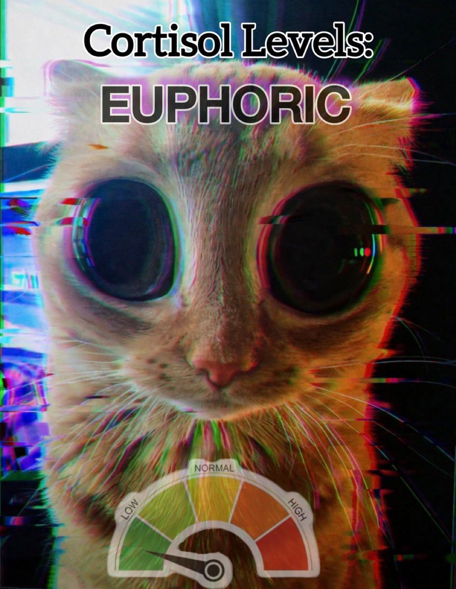 j'ai atteint ma forme finale