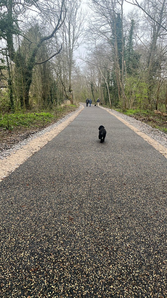 Today I walked along the Little Eaton Greenway, where almost 30 years ago I drove a coal train!