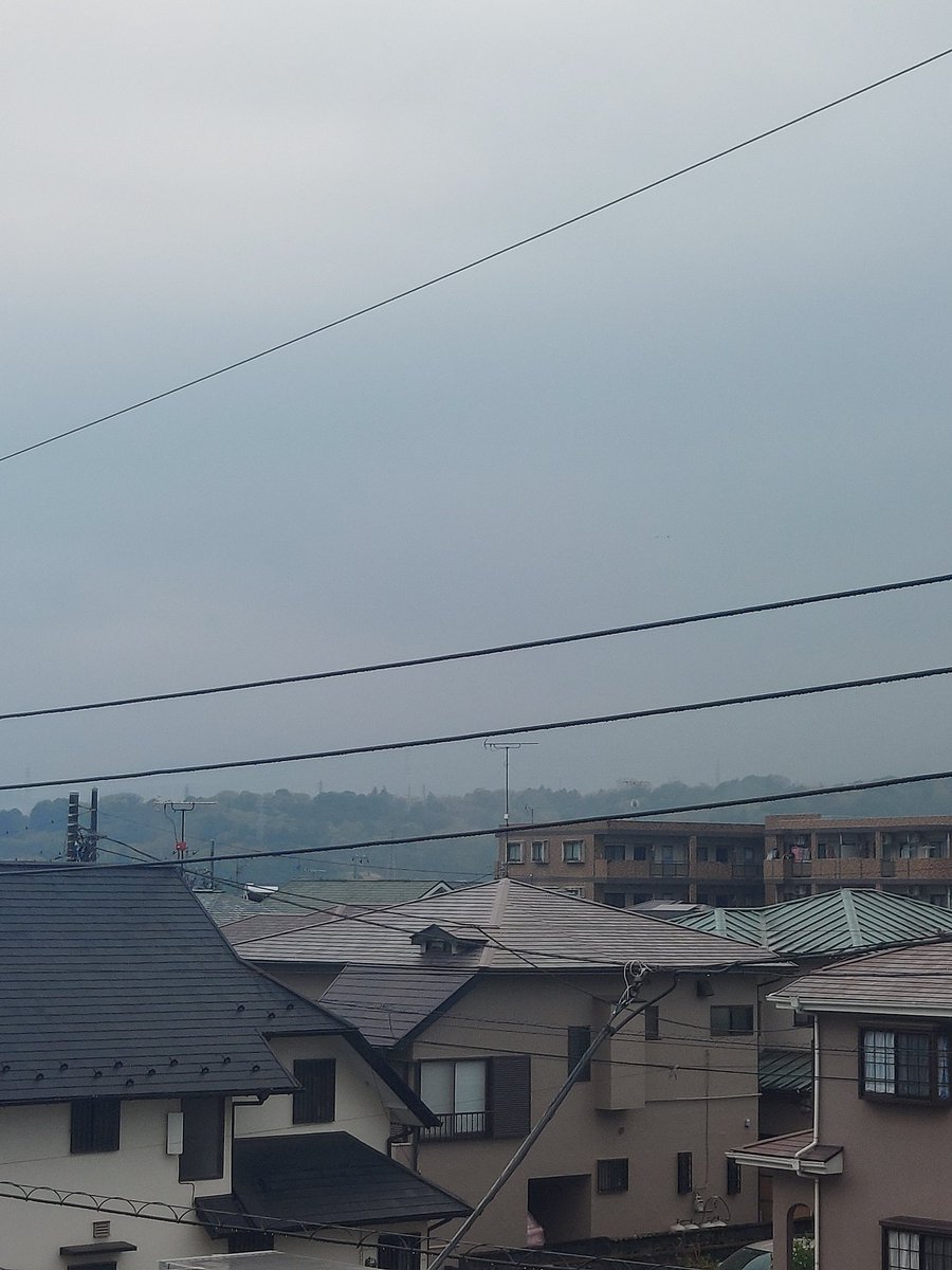 てらっちょ tweet media