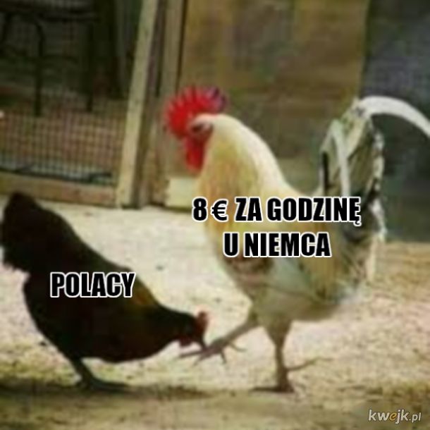 Kaban 🍿 tweet media