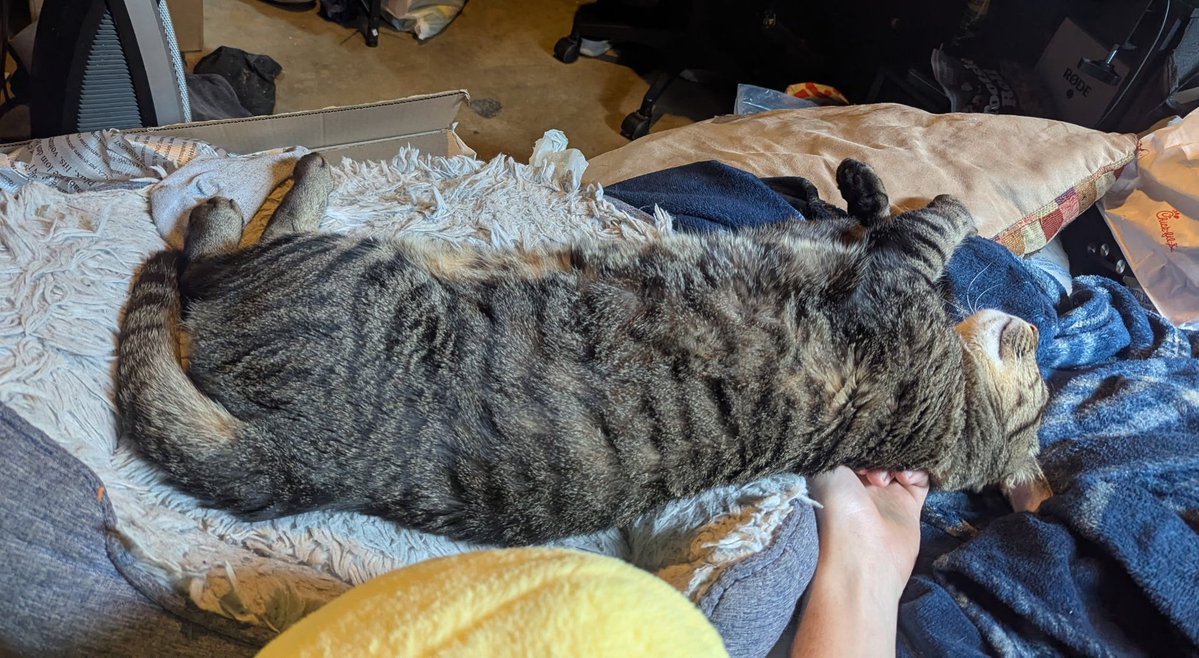 Satoshuni | Vtuber | 🚧 undergoing renovation 🚧 tweet media