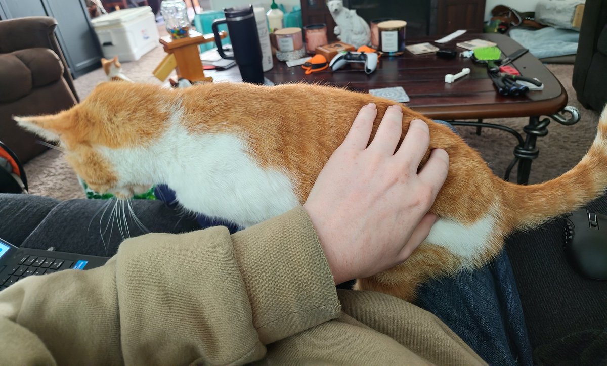 Satoshuni | Vtuber | 🚧 undergoing renovation 🚧 tweet media