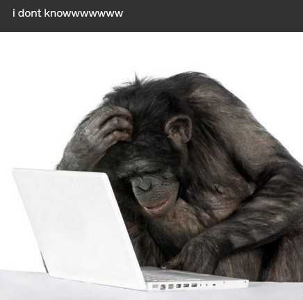 No-one, the long lost son tweet media