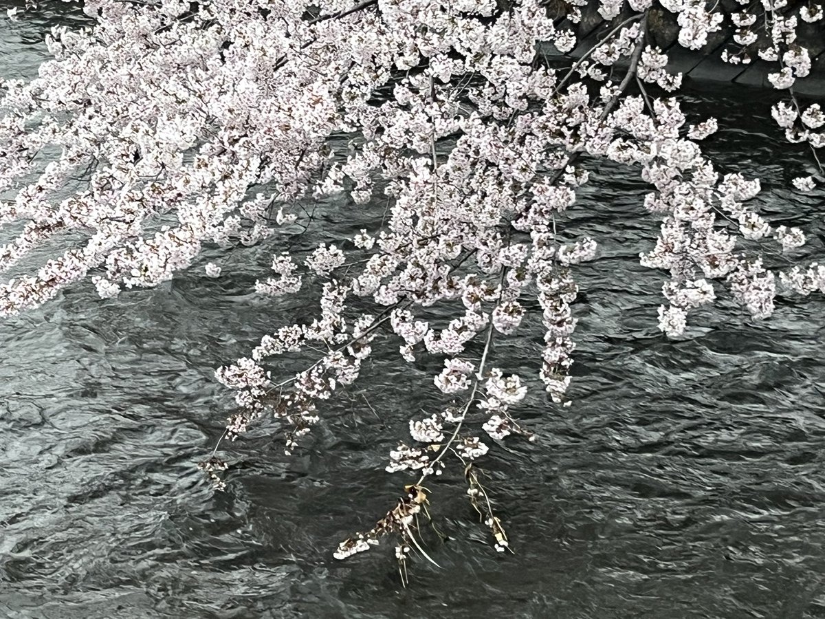 マッチボックス tweet media