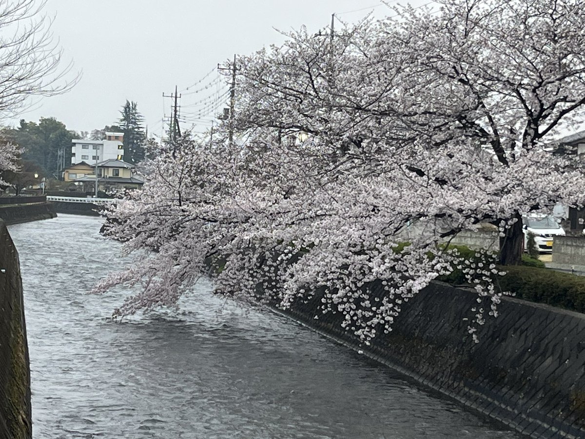 マッチボックス tweet media